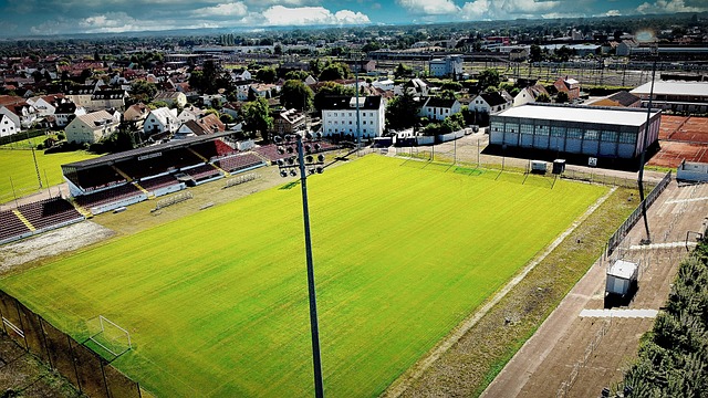 级的运动员 级的运动员