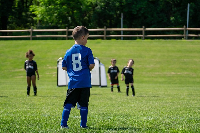 耳曼的对决 耳曼的对决