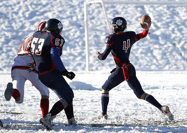 的战术体系 的战术体系