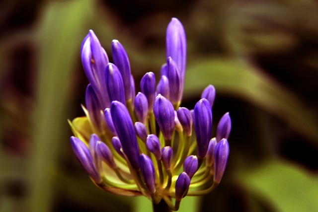 前东家的支 前东家的支