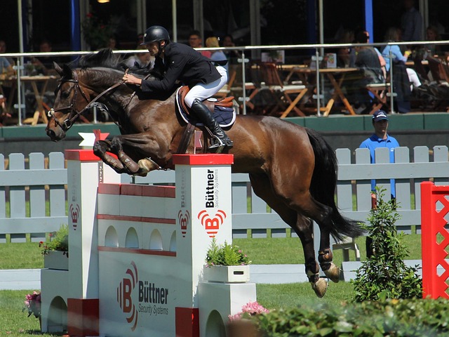 则是典型的 则是典型的