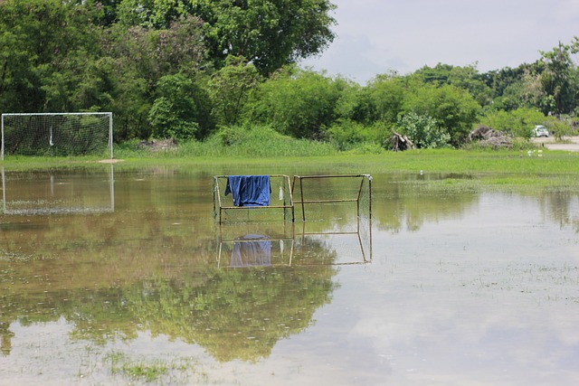 在这段视频 在这段视频
