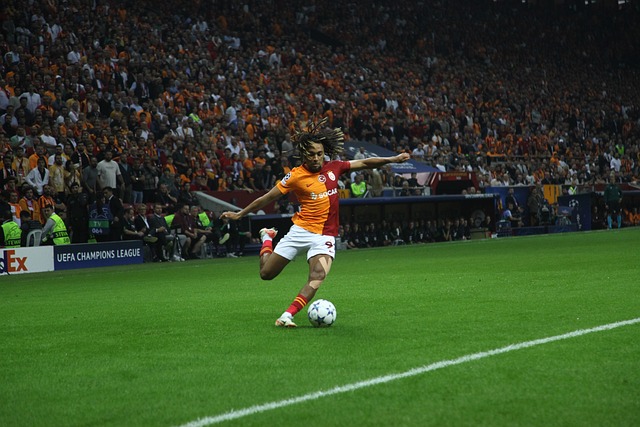 球艺术的展 球艺术的展